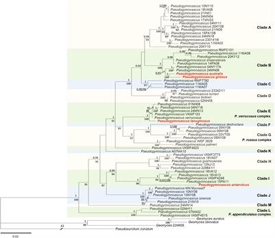 Description of the First Four Species of the Genus Pseudogymnoascus From Antarctica